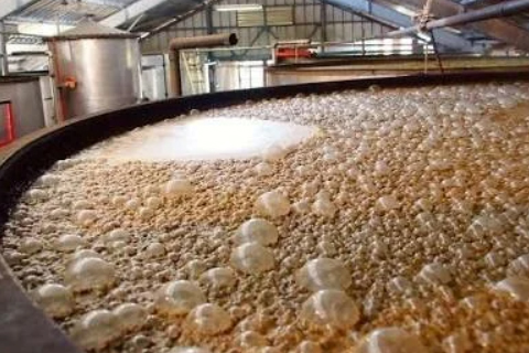 Papain Enzyme Manufacturer in india