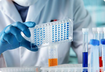 Pharmaceutical Grade Papain Supplier
