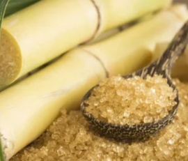 Papain for Brewery