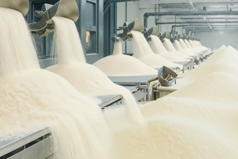 Papain Powder 1200 TU/mg