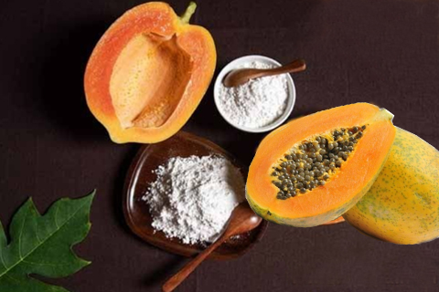 Pharmaceutical Enzymes